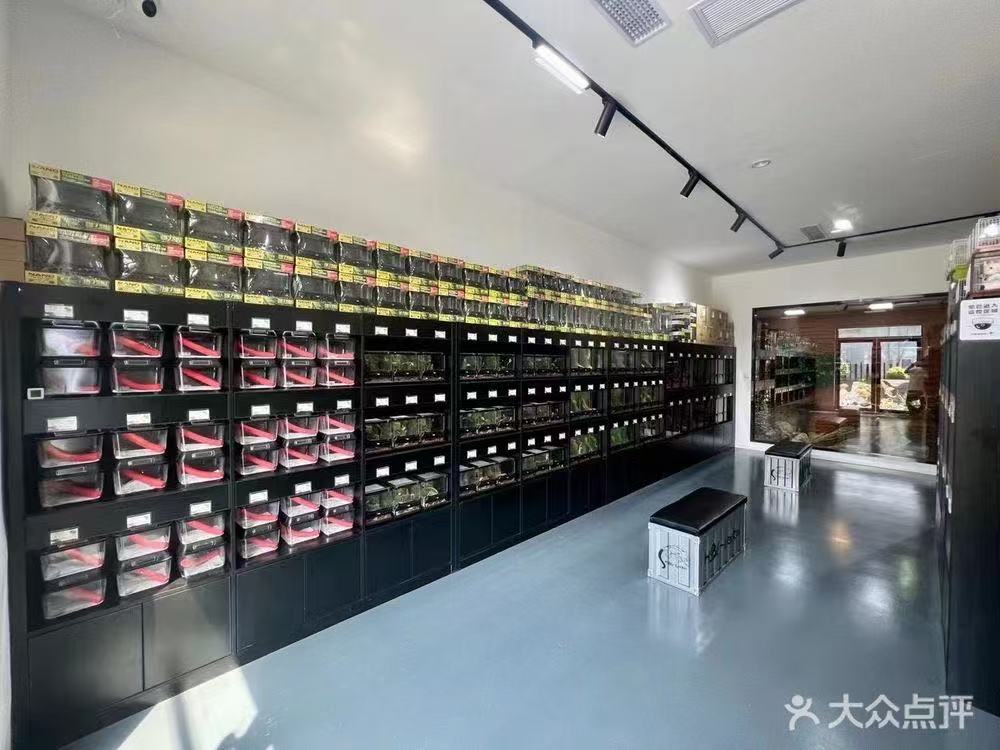 HSBG-Reptile 门店陈列展示区