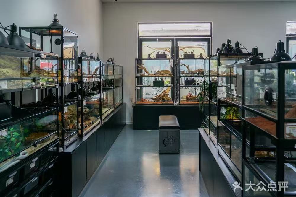 HSBG-Reptile 线下门店空间