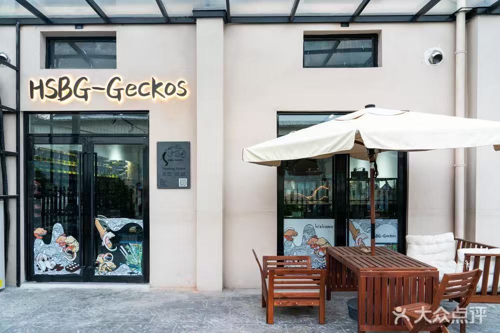 HSBG-Reptile 门店造景展示区
